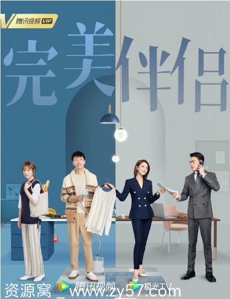 国剧《完美伴侣》2022年剧情解析/纯爱剧情分享 - 零零盘