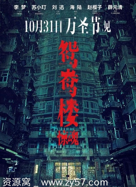 电影《鸳鸯楼惊魂》（2024年）高清资源免费分享 - 零零盘