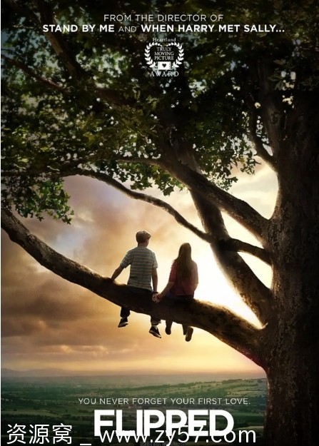 怦然心动电影海报