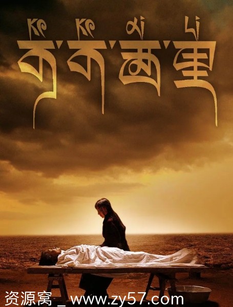 国内电影《可可西里》（2004年）剧情解析及犯罪元素深度解读 - 零零盘