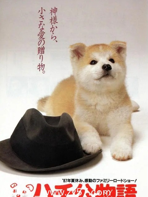 高清资源电影《忠犬八公物语》日本经典催泪之作1987 - 零零盘