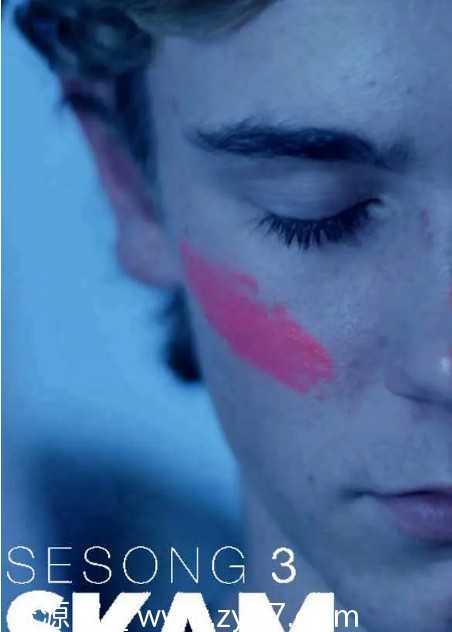 连续剧《羞耻》全版本合集下载（比利时法国荷兰美国西班牙意大利挪威德国） - 零零盘