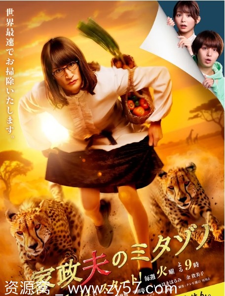 免费观看日剧《家政夫三田园7》2025年完整版在线观看 - 零零盘