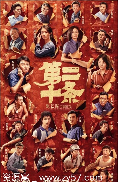 电影《第二十条》海报