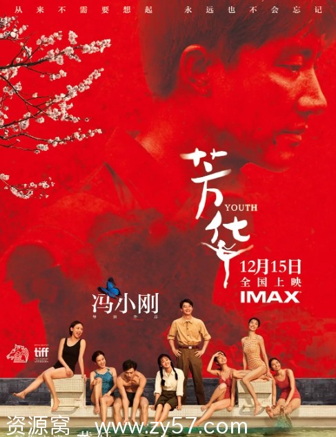 国内电影推荐 历史/战争题材 《芳华》（2017）高清资源分享 - 零零盘