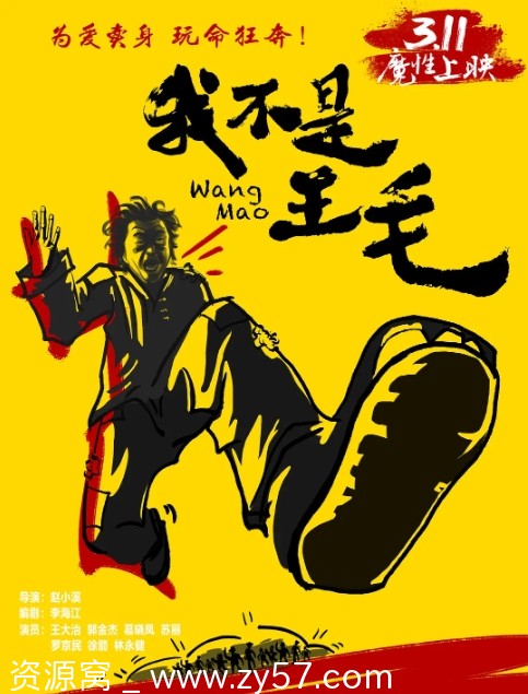 我不是王毛电影海报