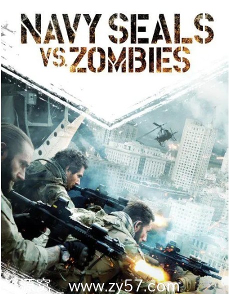 海豹突击队大战僵尸海报