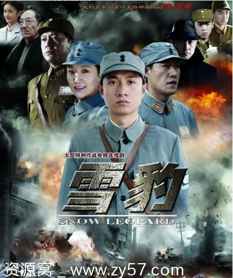 高清免费电视剧 战争《雪豹》2010全集在线观看 - 零零盘