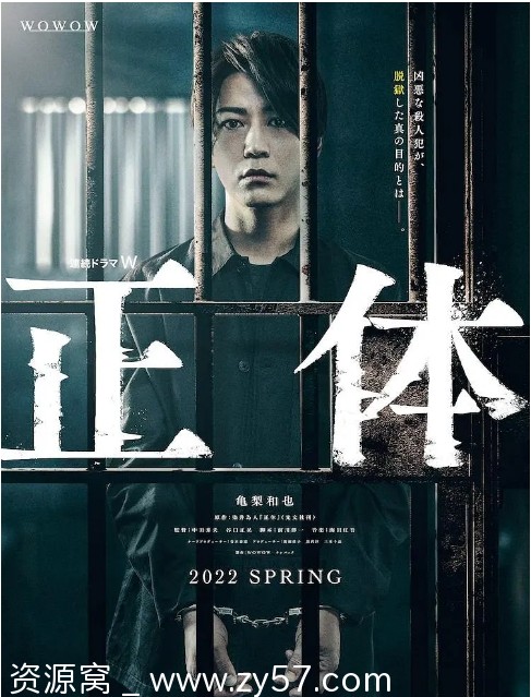 真实身份正体 海报