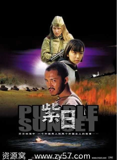 国内经典战争电影《紫日》（2001）高清资源分享 - 零零盘