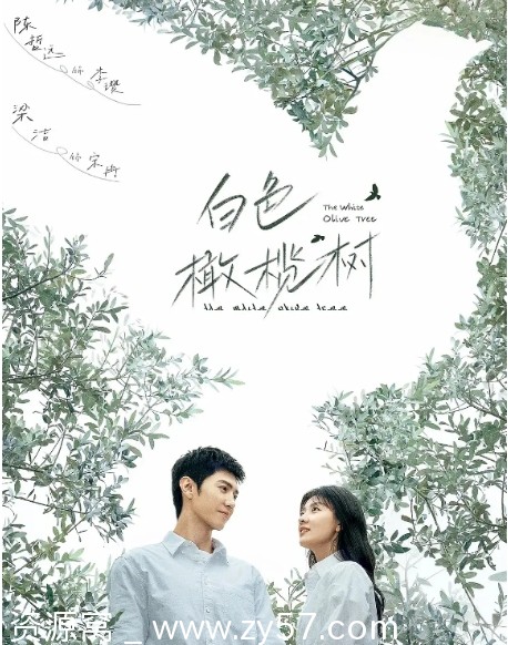 国剧《白色橄榄树》2025年剧情解析 爱情故事深度解读 - 零零盘