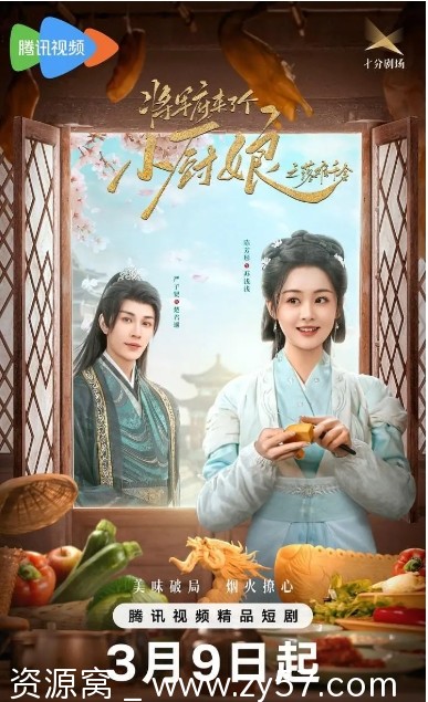 将军府来了个小厨娘之落难千金海报