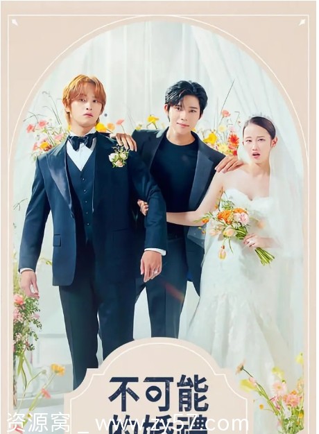 韩剧推荐《不可能的婚礼》2024年剧情喜剧爱情剧全集下载 - 零零盘