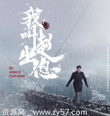 我叫赵出息海报