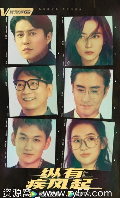 【国剧《纵有疾风起》2023剧情解析】家庭情感剧 靳东主演 - 零零盘