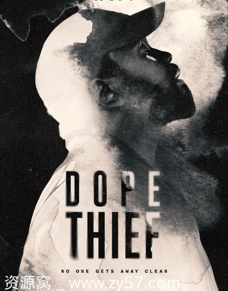 《毒窃之徒》海报