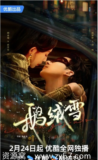 电视剧《鹅绒雪》海报