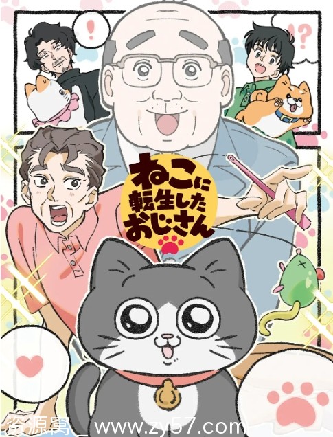 【日剧动漫《转生成猫的大叔》2024】高清全集更新中_日常搞笑日常分享 - 零零盘