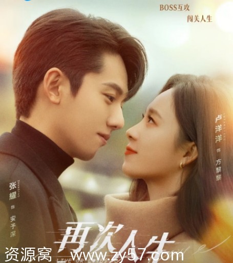 免费分享电视剧《再次人生》（2025年）全集在线观看 - 零零盘