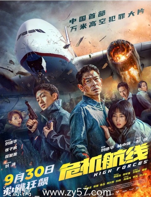 【香港电影《危机航线》2024】刘德华主演 动作犯罪灾难片资源分享 - 零零盘