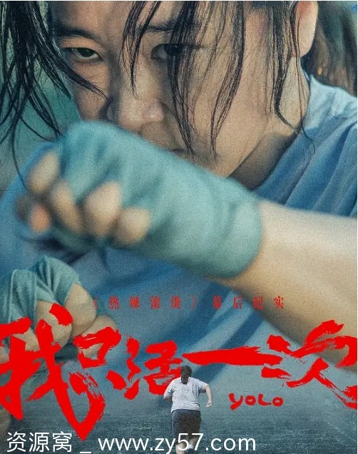 纪录片《我只活一次》（2024）高清完整版免费分享 - 零零盘