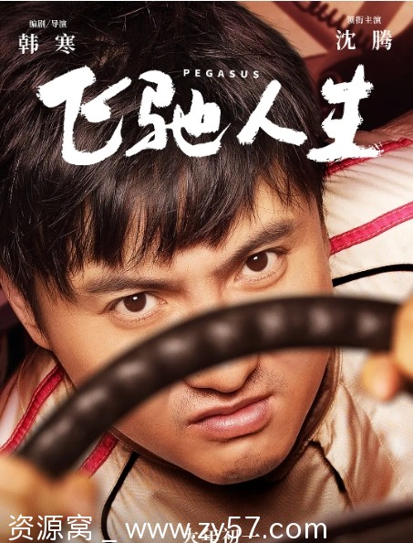 【飞驰人生1-2部完整版】剧情喜剧运动电影下载 - 零零盘