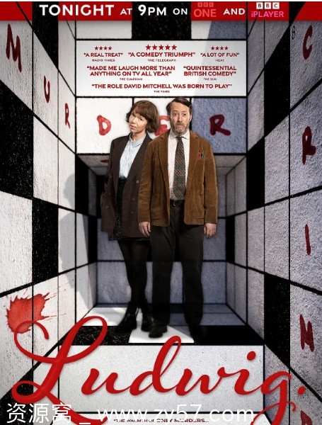 【英剧推荐】谜探路德维希2024喜剧犯罪豆瓣8.8 - 零零盘