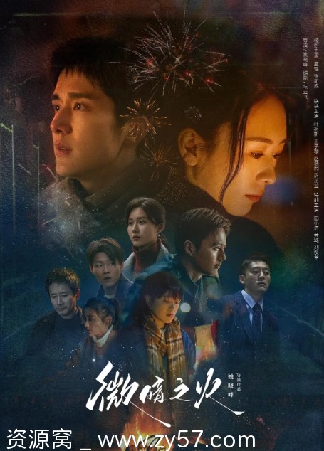 电视剧悬疑剧《微暗之火》（2024）高清完整版在线观看 - 零零盘
