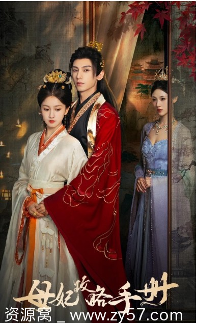 《母妃攻略手册》海报