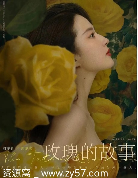 《玫瑰的故事》海报