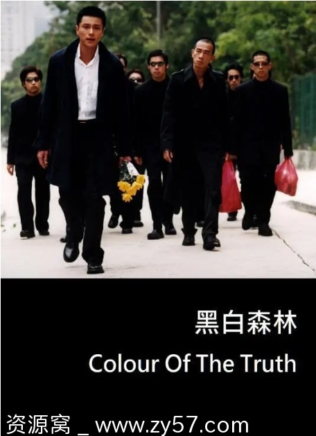 电影《黑白森林》海报