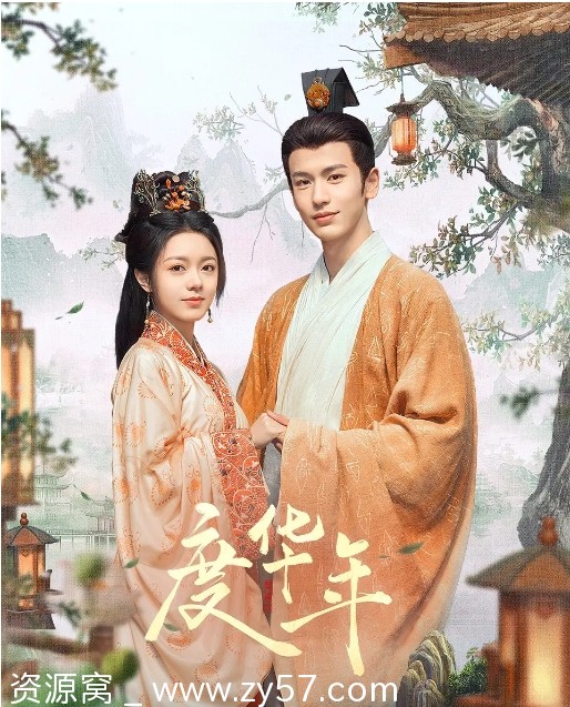 度华年电视剧海报