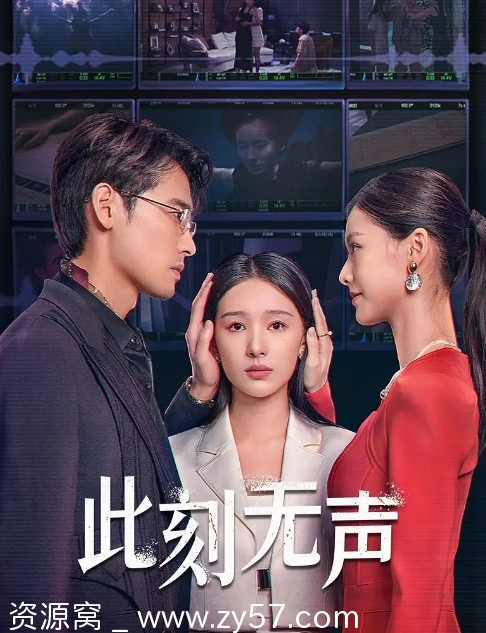 电视剧爱情悬疑短片《此刻无声》2024年全集高清在线观看 - 零零盘