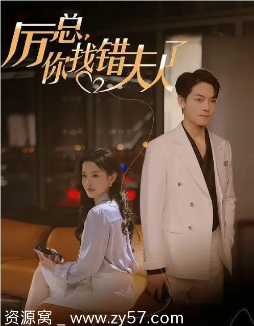 电视剧爱情短片《厉总，你找错夫人了》2024年全集在线观看 - 零零盘