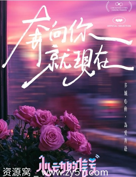 国内热门真人秀《心动的信号》1-8季全集资源分享 - 零零盘