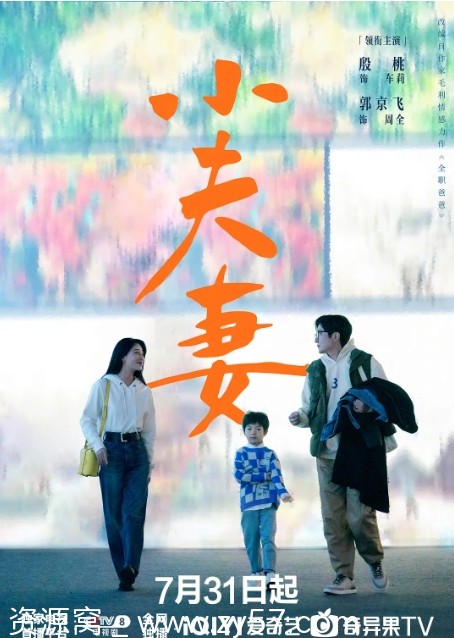 电视剧《小夫妻》2024高清全集在线观看 - 零零盘