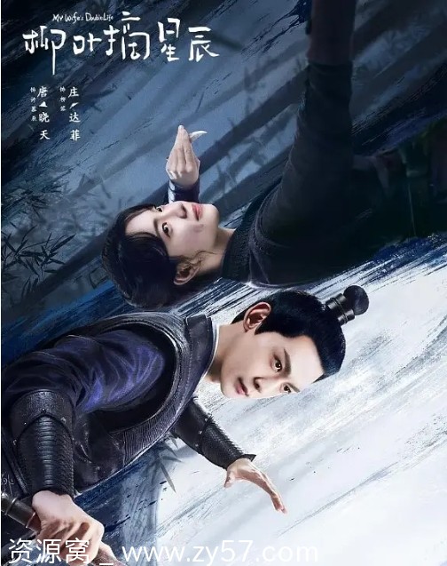 柳叶摘星辰海报