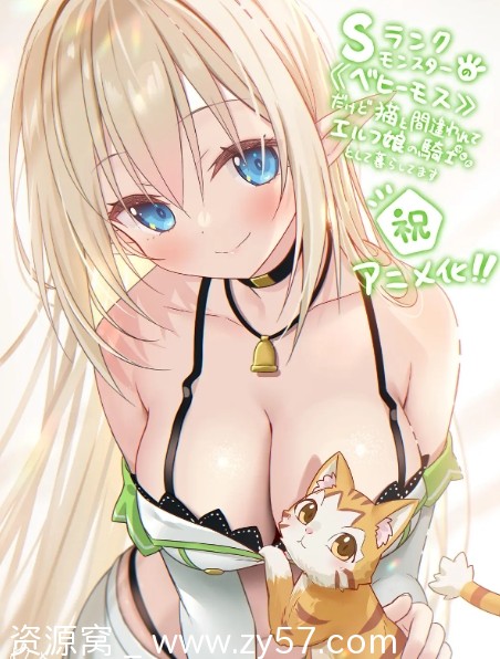 电视剧动画分享《S级怪兽贝希摩斯误认小猫成精灵骑士宠物生活记录日本2024》 - 零零盘