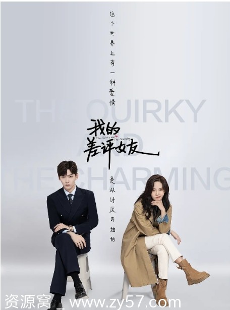 我的差评女友海报