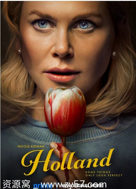 美国惊悚片《荷兰镇》2025年妮可·基德曼主演 1080P高清中文字幕版 - 零零盘