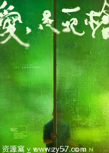 爱是一把枪电影海报