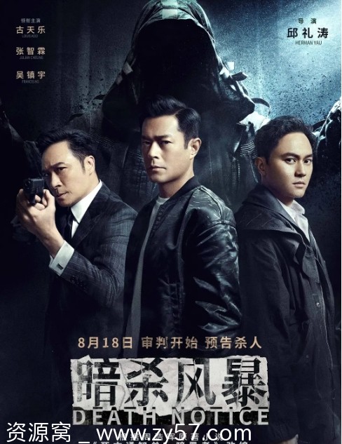 暗杀风暴电影海报