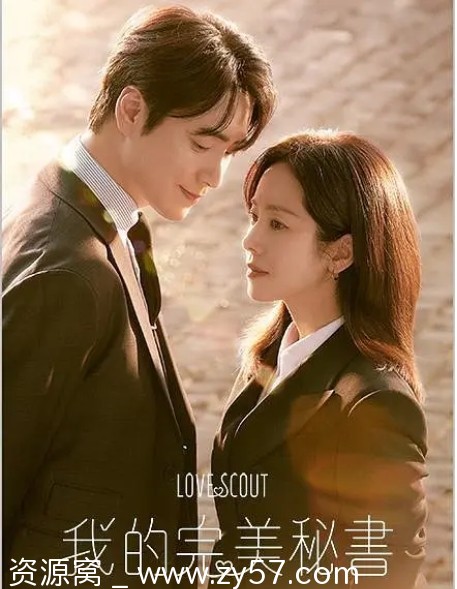 我的完美秘书海报