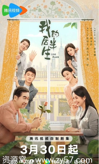 我的后半生 海报