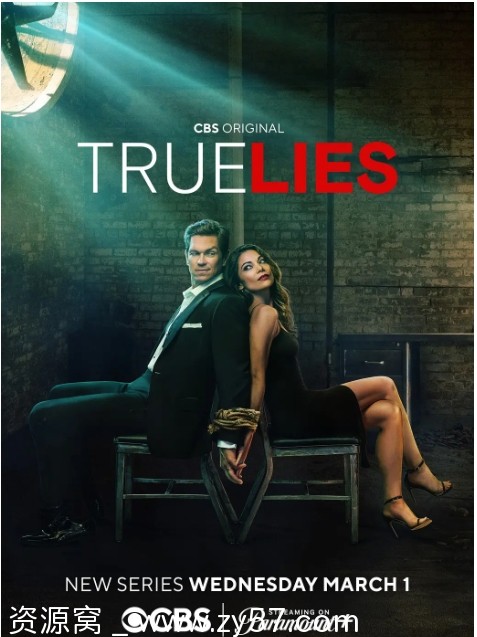 真实的谎言剧版海报