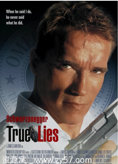 真实的谎言电影海报