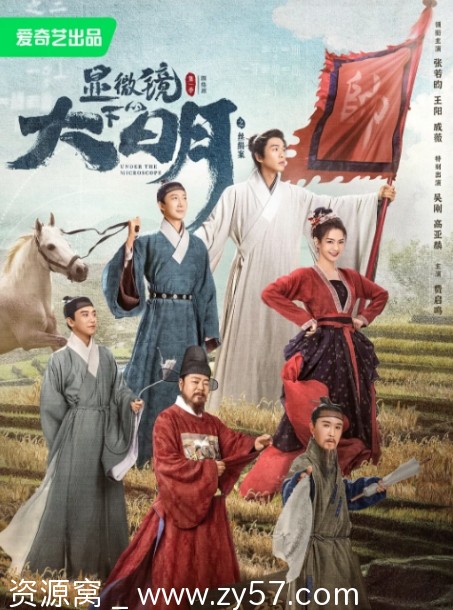 显微镜下的大明之丝绢案海报