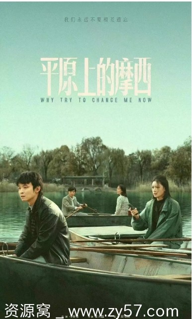 平原上的摩西海报