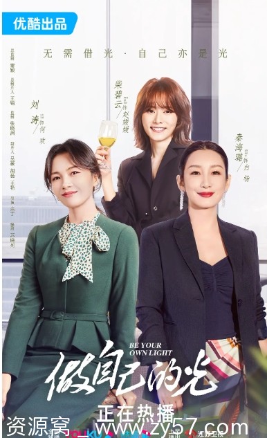 电视剧做自己的光2023全集下载 高清免费观看 - 零零盘