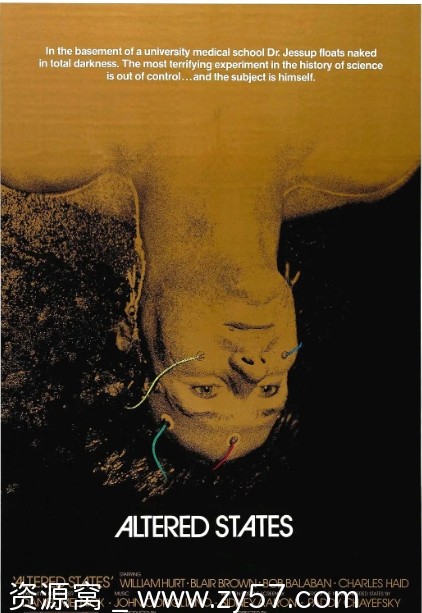 灵魂大搜索电影海报